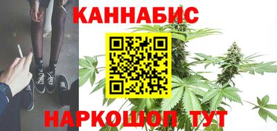гидра Рыбинск