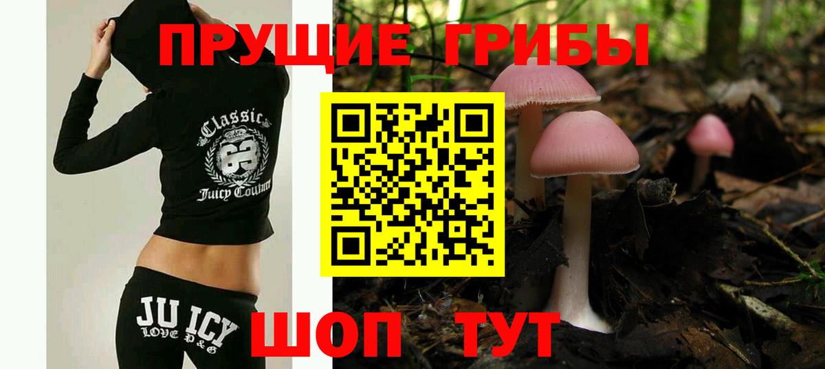Октябрьский  наркошоп  Вход с VPN  Псилоцибиновые грибы MAGIC MUSHROOMS  Галлюциногенные грибы GOLDEN TEACHER 